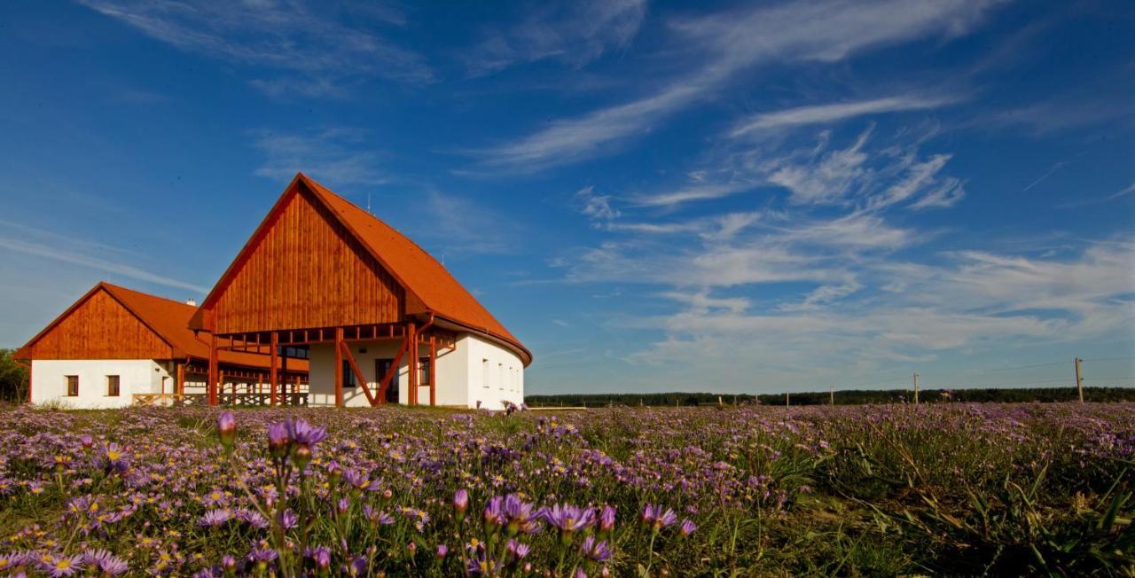 Bibic Nature Lodge Balmazújváros Exterior foto